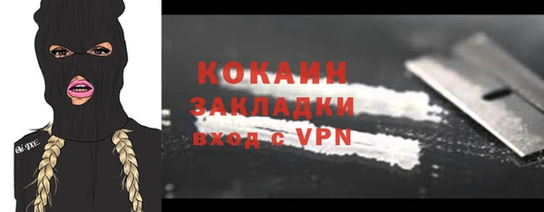 дмт Касимов