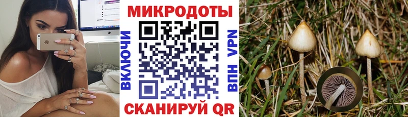 Псилоцибиновые грибы Cubensis  Купить где  Балахна 